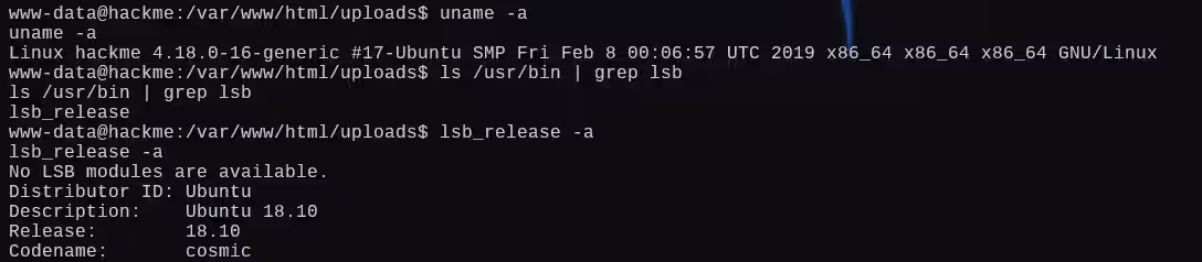 image-20250106011817613