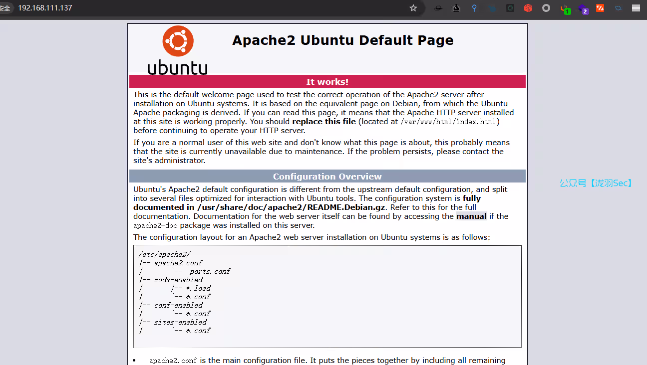 image-20250106172650946