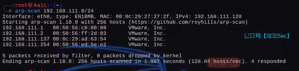 image-20250106172609713