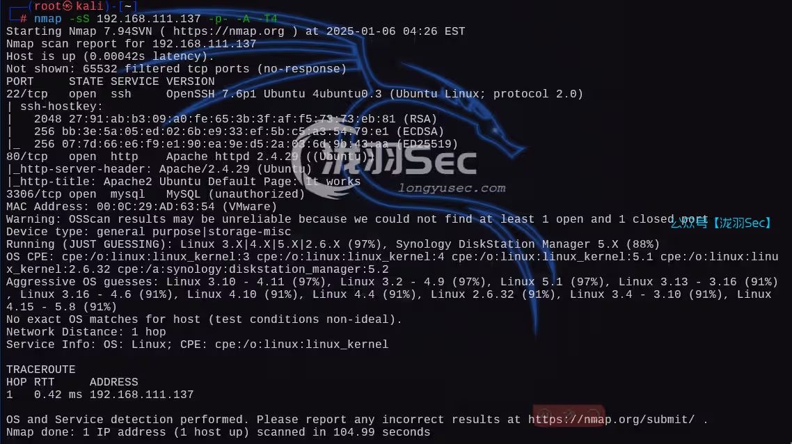 image-20250106172827400