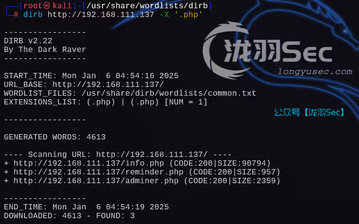 image-20250106175541314