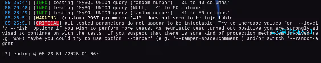 image-20250106182741626