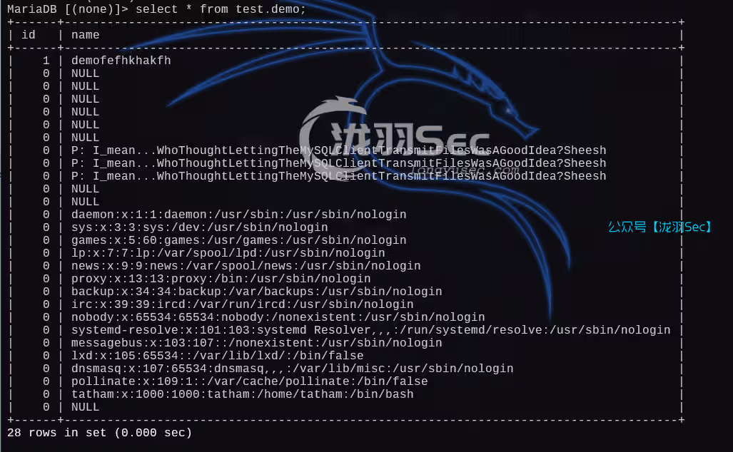 image-20250107144239842