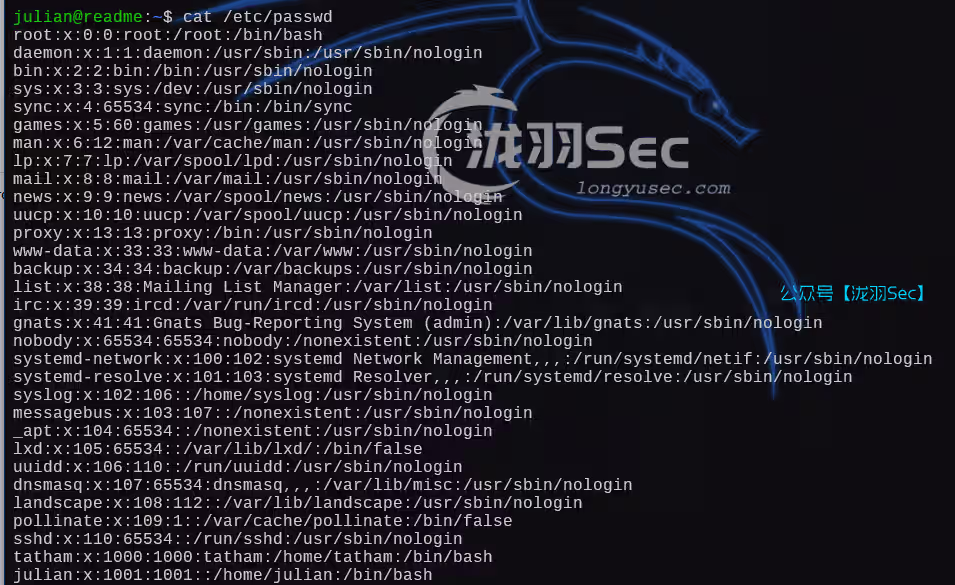 image-20250107144738062