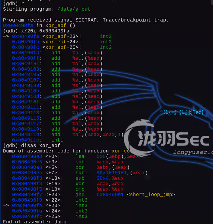 image-20250107194312916