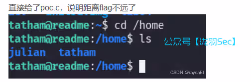 image-20250108173702605