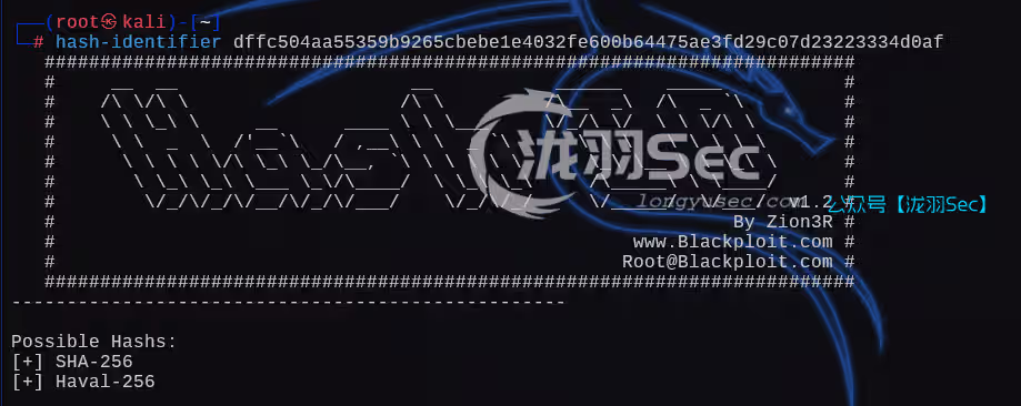 image-20250108193348667