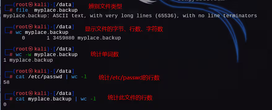 image-20250110222813776