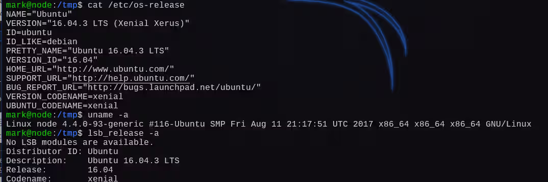 image-20250110232259729