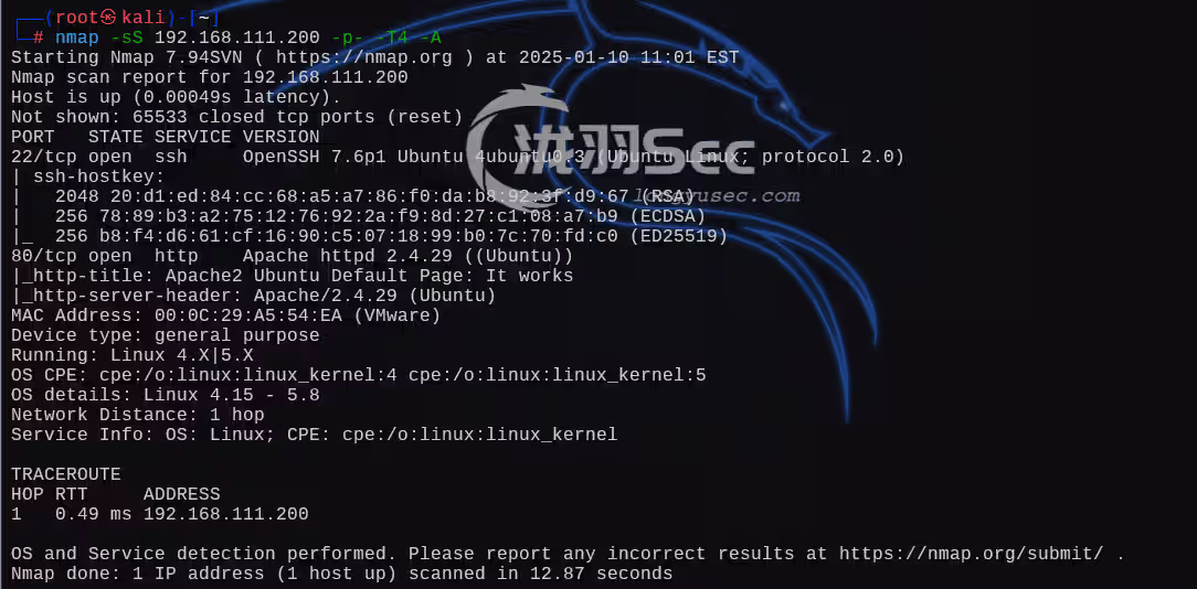 image-20250111000538526