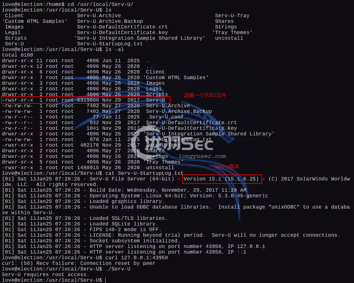 image-20250111020555447