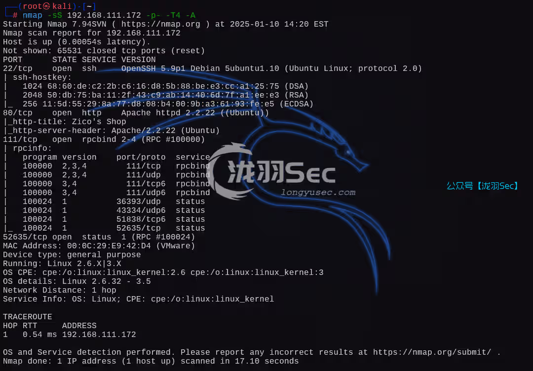 image-20250111032209096