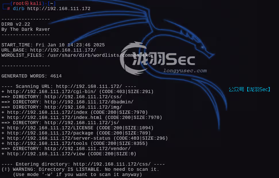 image-20250111032415513