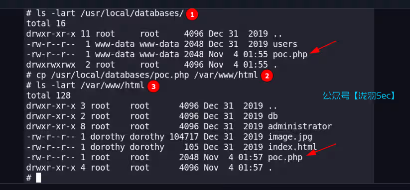 image-20250111034425542