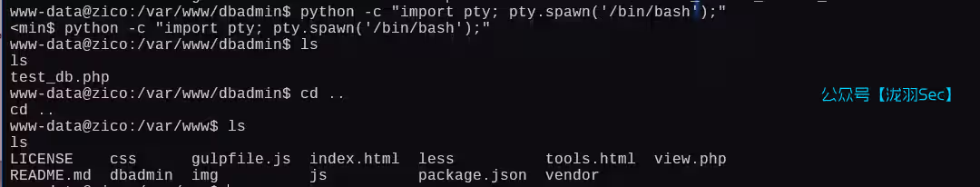 image-20250111040914320