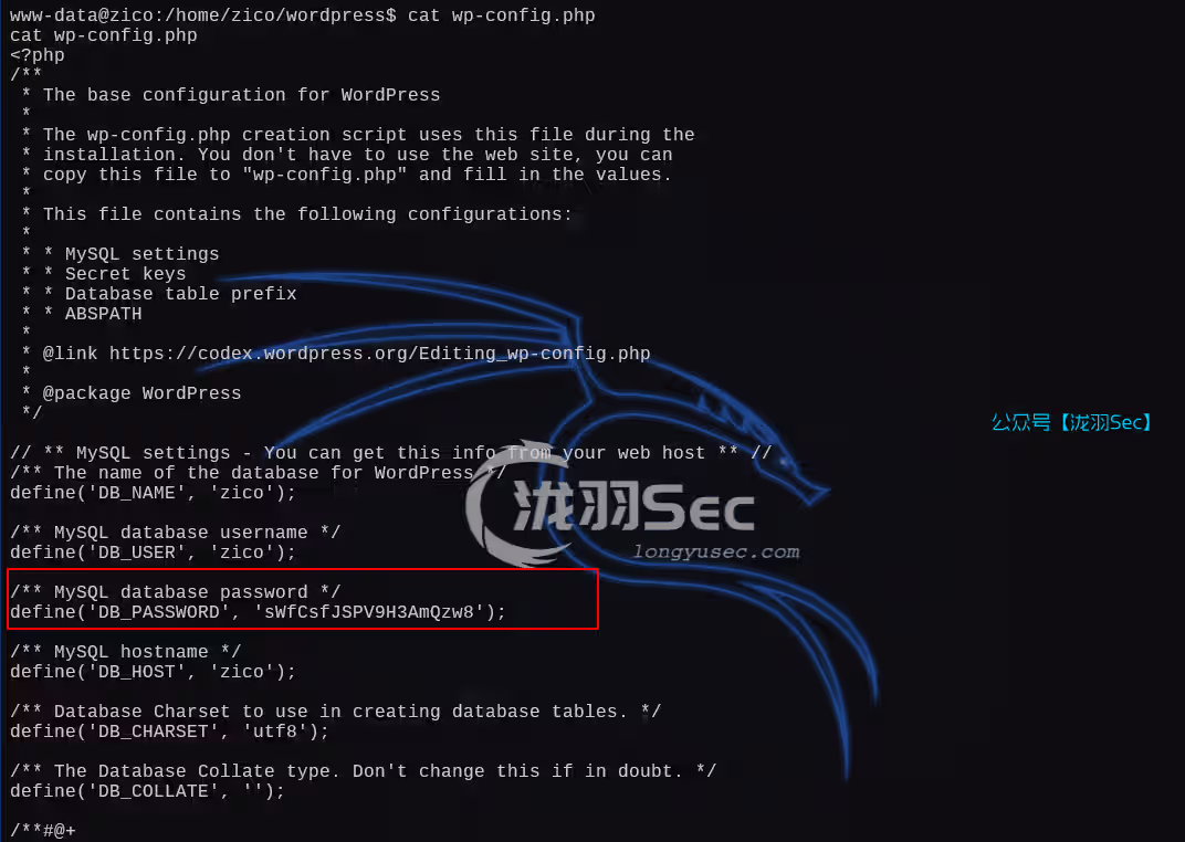 image-20250111042536075