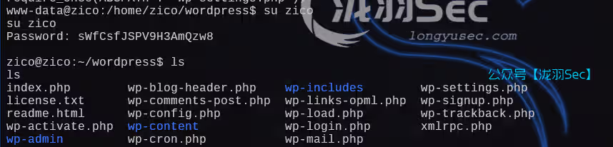 image-20250111042712370