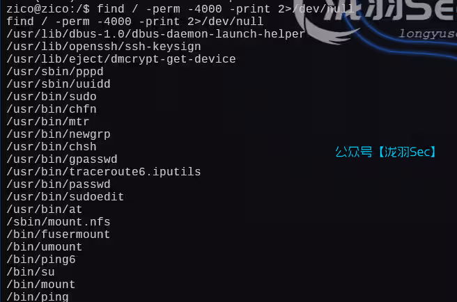 image-20250111043036449