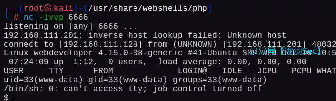 image-20250111152521101