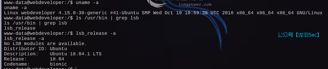 image-20250111191804476