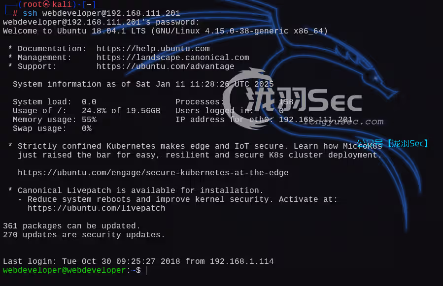 image-20250111192835954