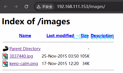 image-20250113181740816