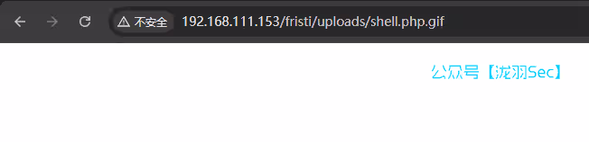 image-20250113201529200