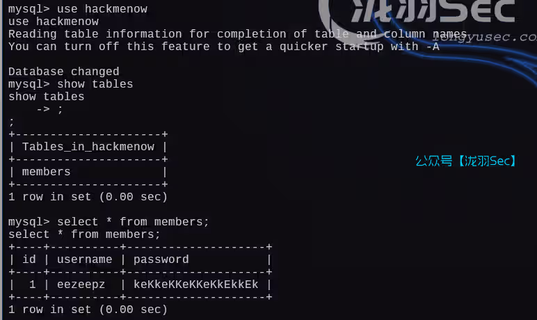 image-20250114113902591