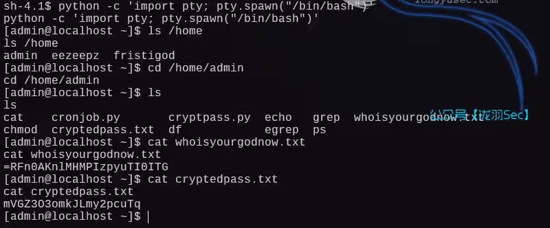 image-20250115011134812