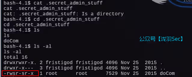 image-20250115043508117