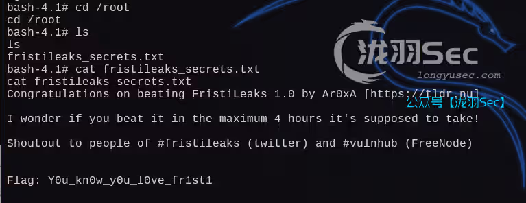 image-20250115044651022