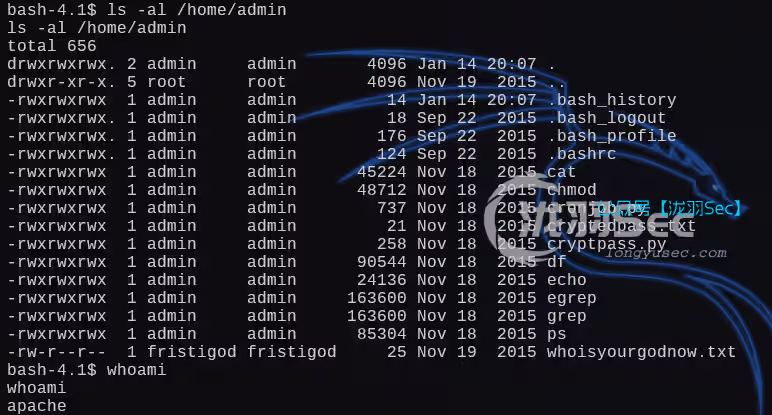 image-20250115045718237