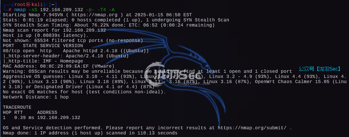 image-20250115195327320