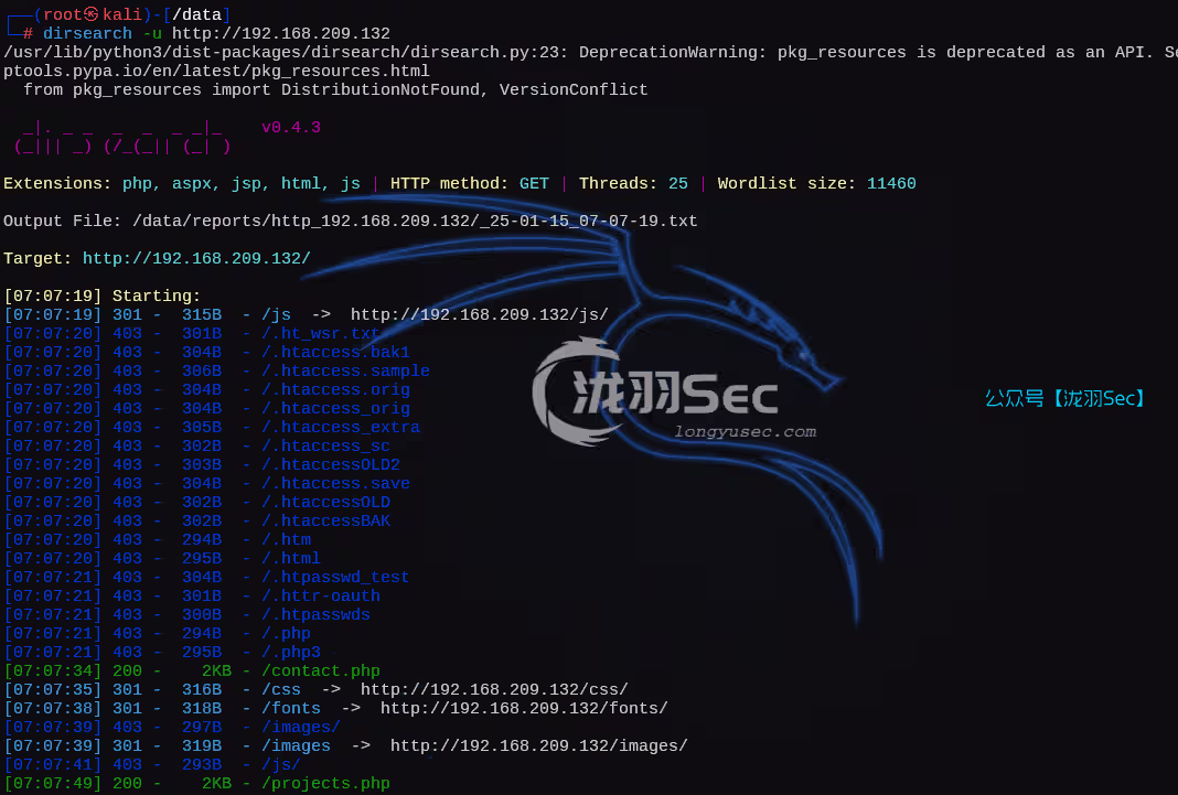 image-20250115200843632