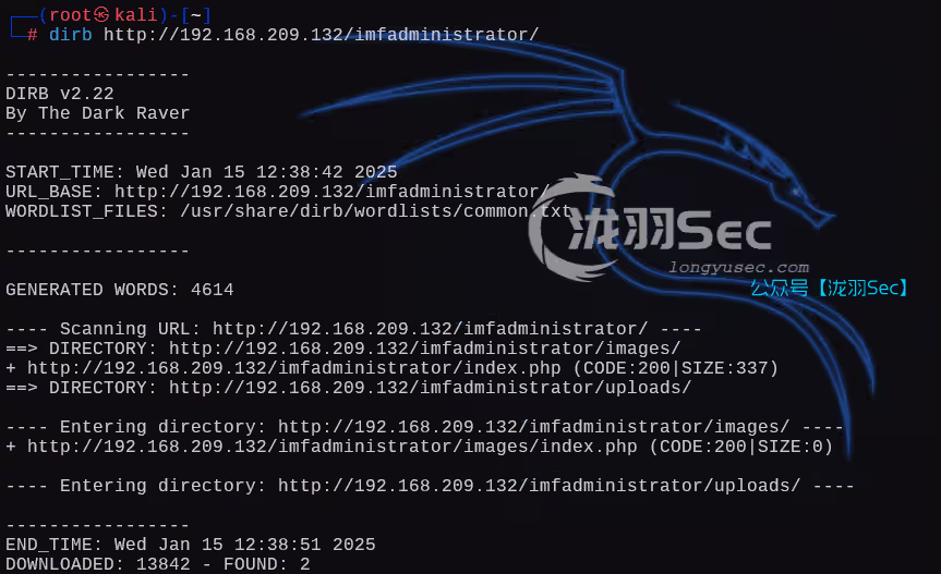 image-20250116013938181