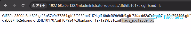 image-20250117184523203