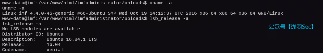 image-20250117194310282